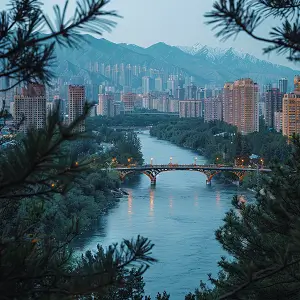 上饶商标申请的代办公司怎么选